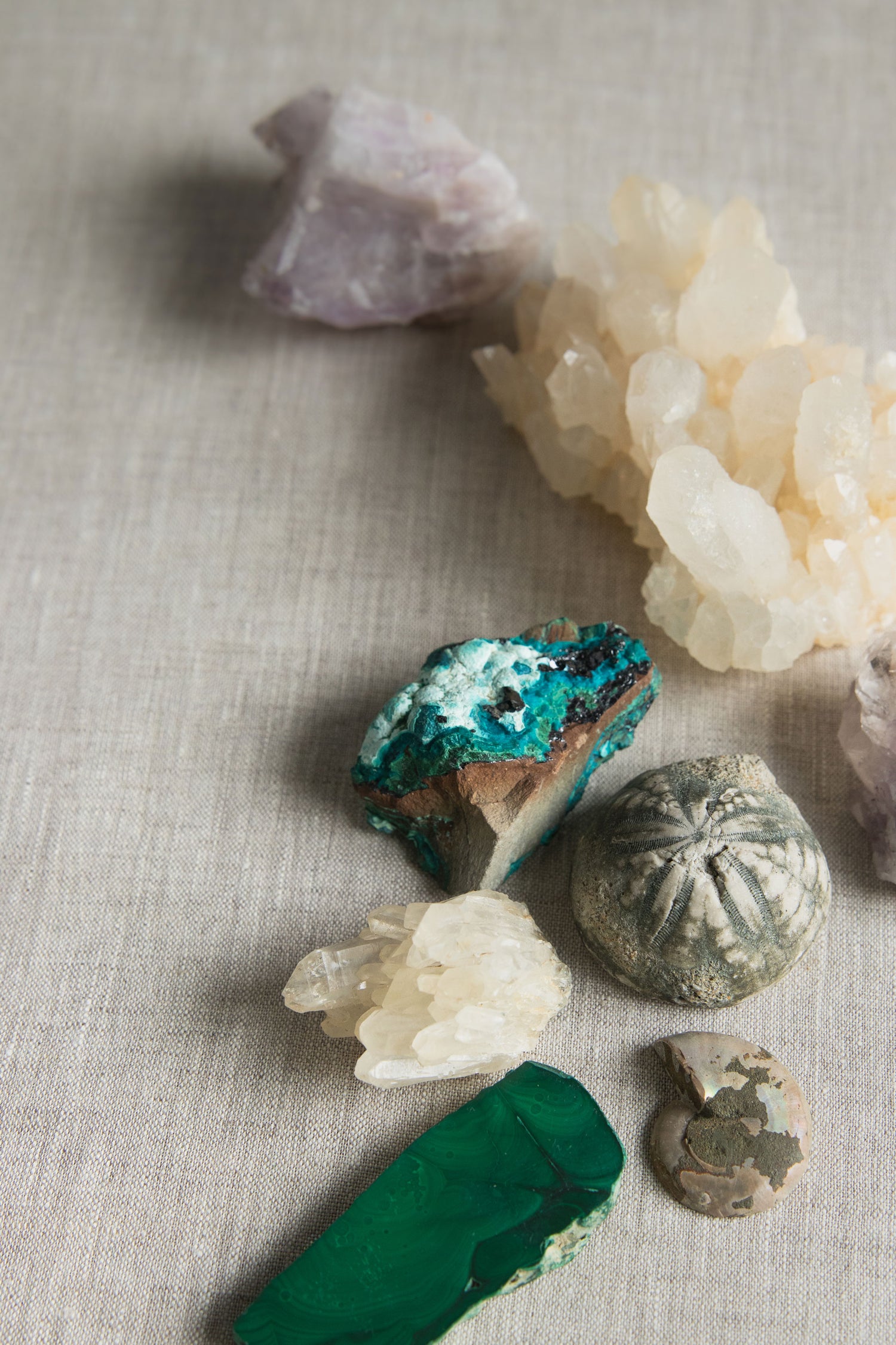 Collection of various crystals and minerals on a textured surface