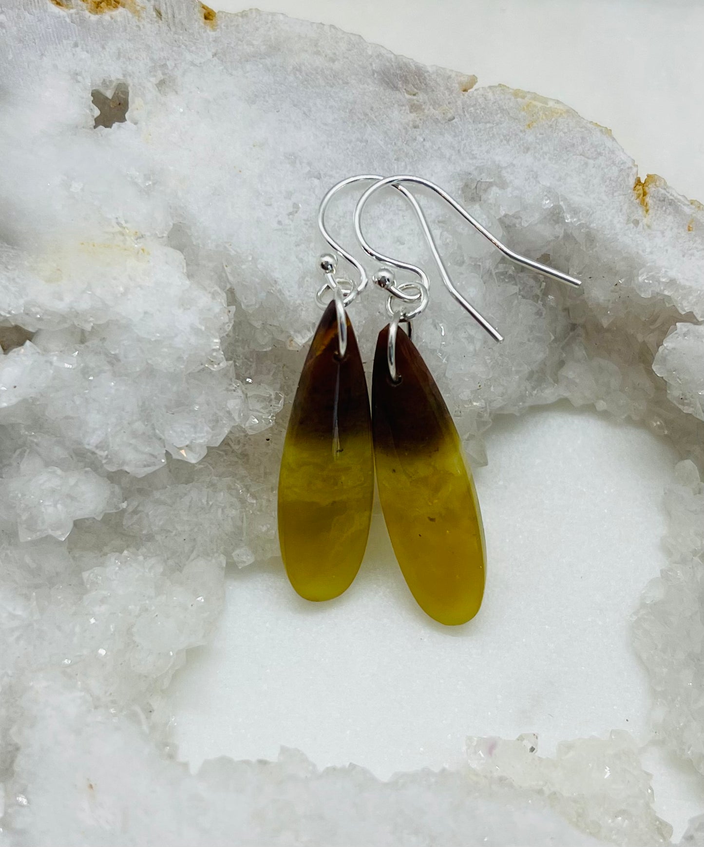 One-of-a Kind Artisan Stone Earrings, Petrified Wood Jewelry, Handcrafted in the USA in Sterling Silver