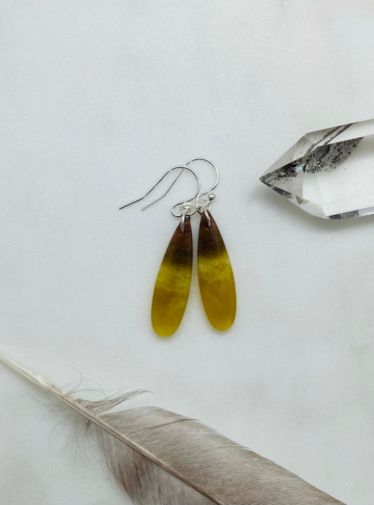One-of-a Kind Artisan Stone Earrings, Petrified Wood Jewelry, Handcrafted in the USA in Sterling Silver