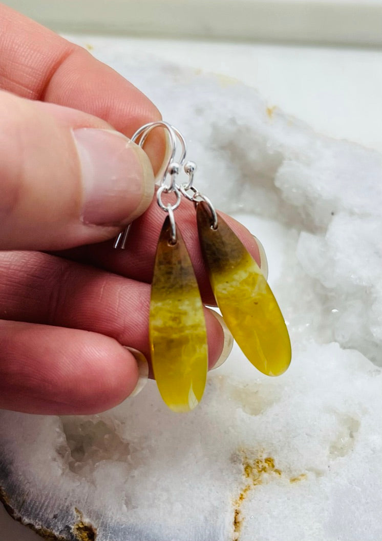 One-of-a Kind Artisan Stone Earrings, Petrified Wood Jewelry, Handcrafted in the USA in Sterling Silver