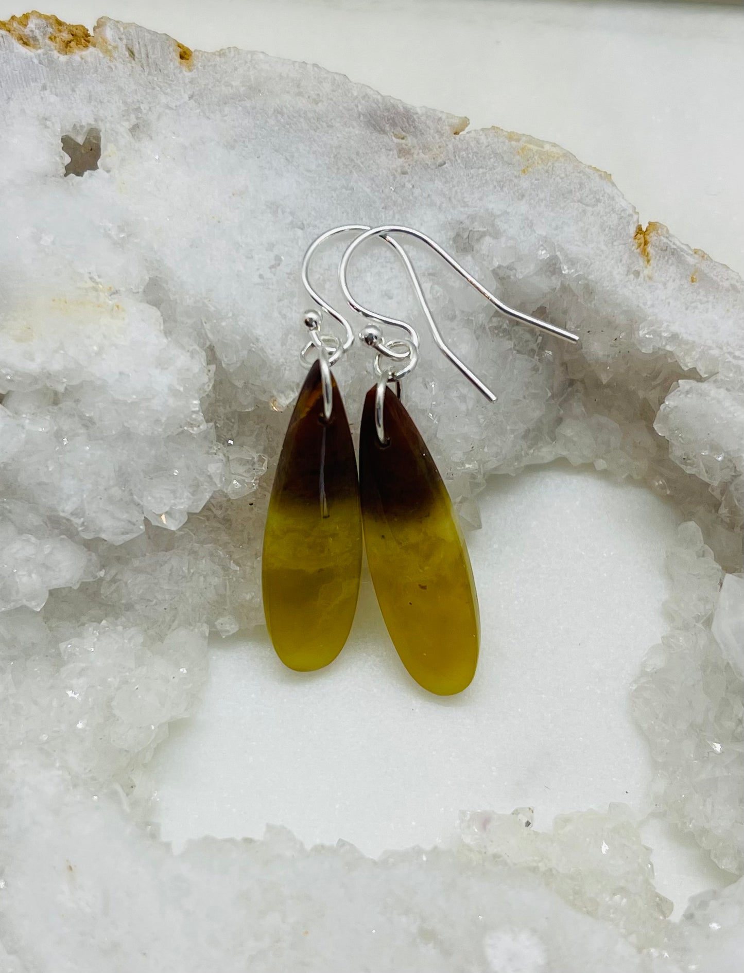 One-of-a Kind Artisan Stone Earrings, Petrified Wood Jewelry, Handcrafted in the USA in Sterling Silver